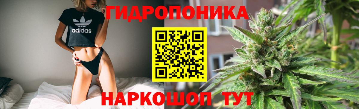 Бошки марихуана план Сыктывкар